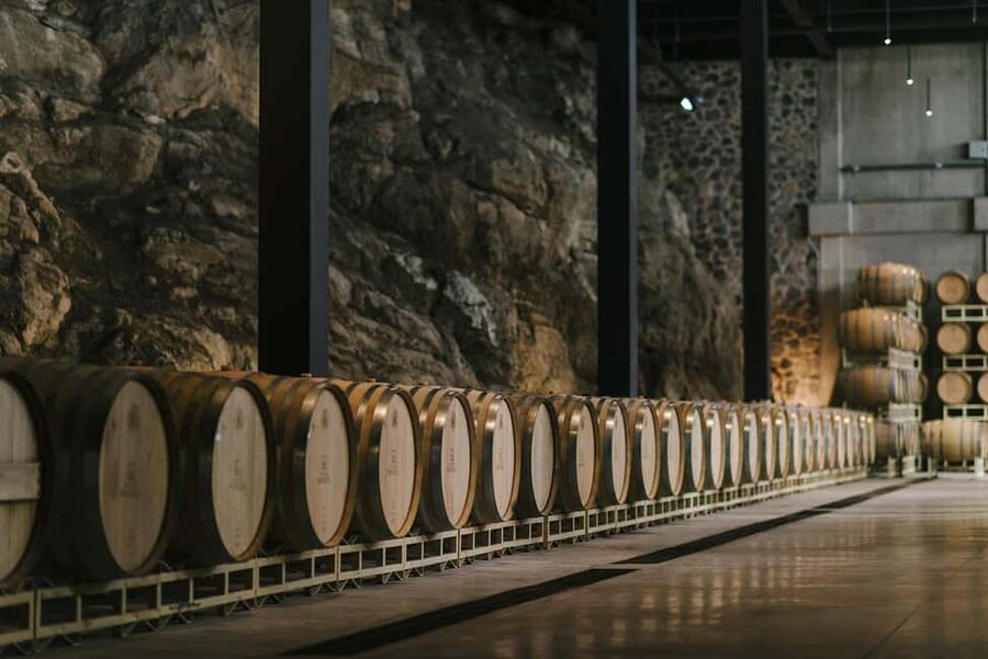Tour & Wine Tasting San Miguel Vineyard / San Miguel Experience - From San Miguel de Allende to Viñedo San Miguel
