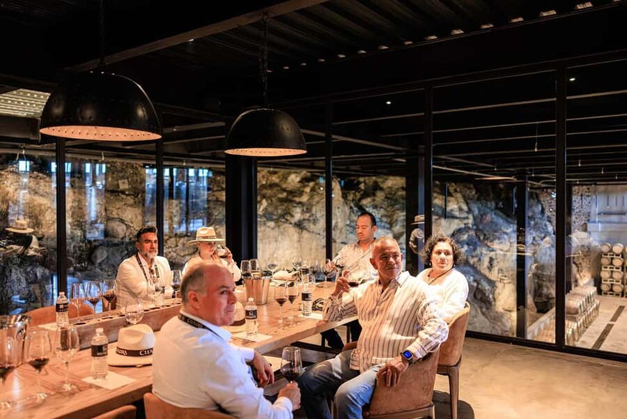 Tour & Wine Tasting San Miguel Vineyard / San Miguel Experience - The panoramic room and the five-course pairing