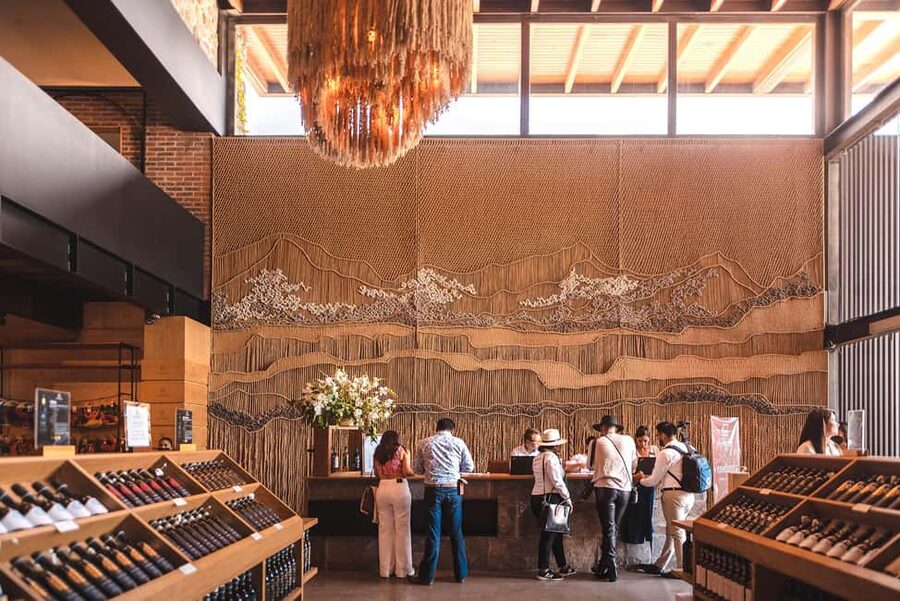 Tour & Wine Tasting San Miguel Vineyard / San Miguel Experience - Is $84 a fair price?