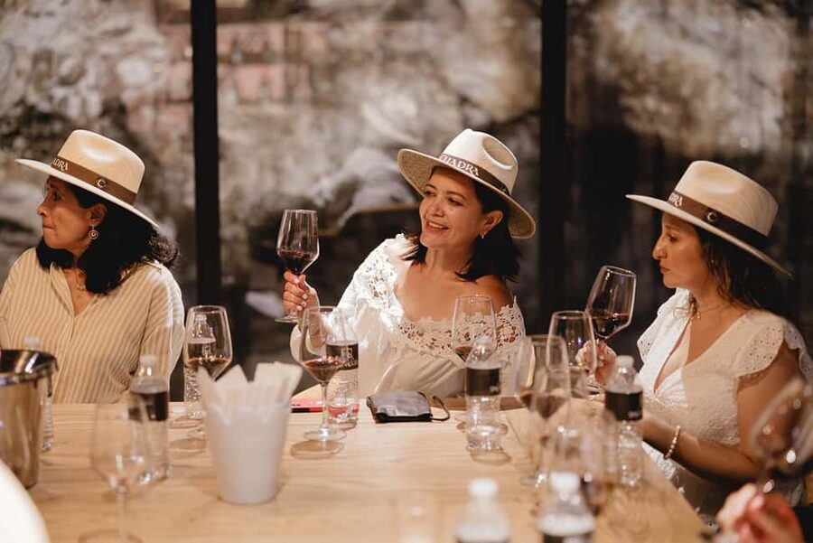 Tour & Wine Tasting San Miguel Vineyard / San Miguel Experience - Who will enjoy this most?