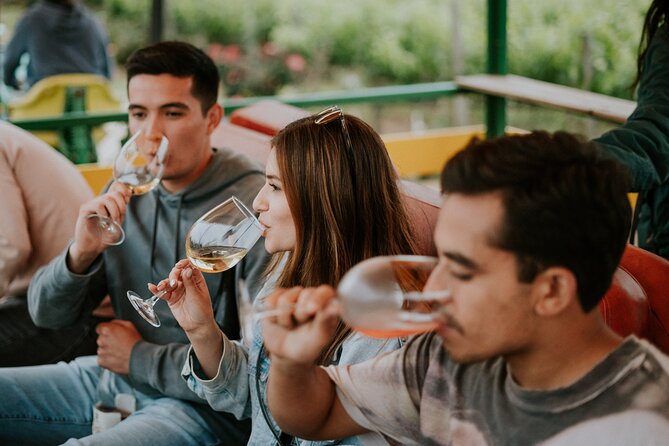 Tractor Pull Around Vineyards and Wine Tasting Tour - Meeting Don Tomas Vineyard in El Porvenir