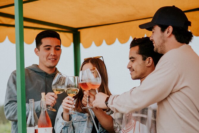 Tractor Pull Around Vineyards and Wine Tasting Tour - Who will enjoy this best?