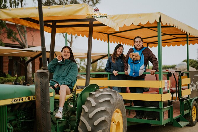 Tractor Pull Around Vineyards and Wine Tasting Tour - How to make the most of the 90 minutes
