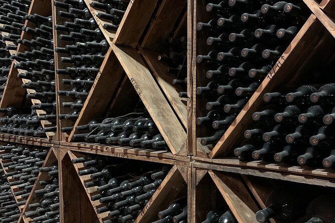 Trani: Wine tasting & Light Lunch in a Vineyard - Timing, group size, and practical details