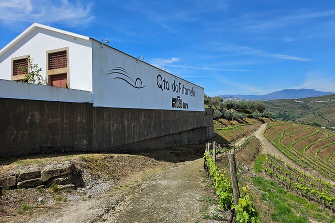 Transfer- Porto to Douro Wine Region (or reverse) - Meeting drivers Nuno, João, and Jorge