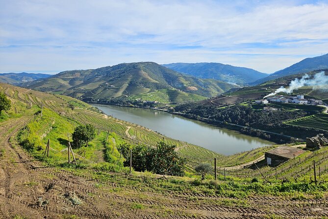Transfer- Porto to Douro Wine Region (or reverse) - Is $51.17 per person good value?