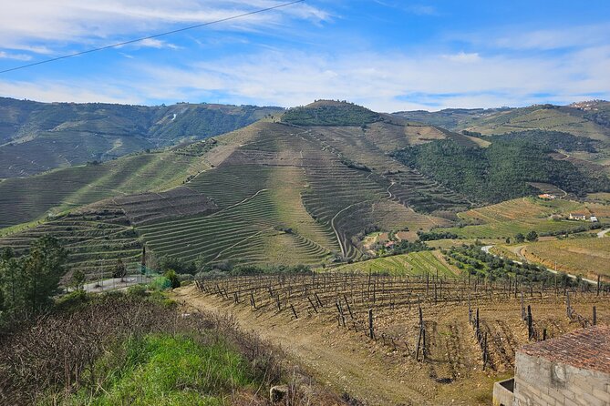 Transfer- Porto to Douro Wine Region (or reverse) - Who will get the most from this transfer?