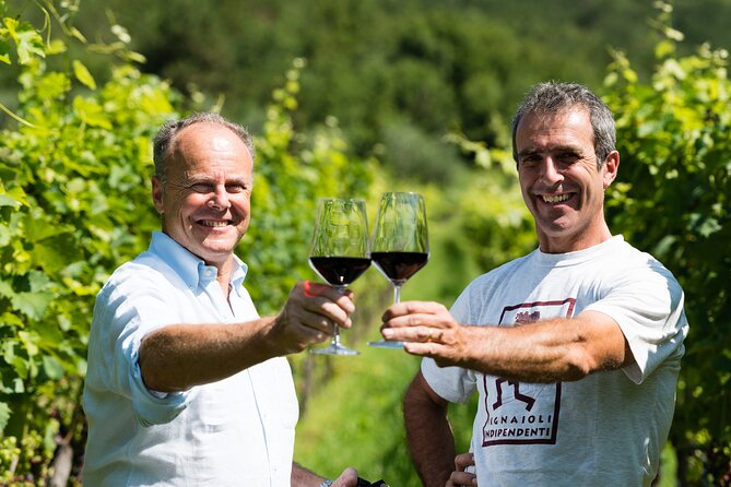 Trentino Wine Journey: Organic Vineyards & Local Delights - Key points at a glance