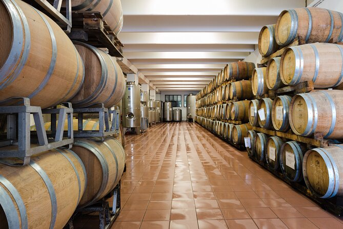 Trentino Wine Journey: Organic Vineyards & Local Delights - Why Valle dei Laghi makes a good wine stop