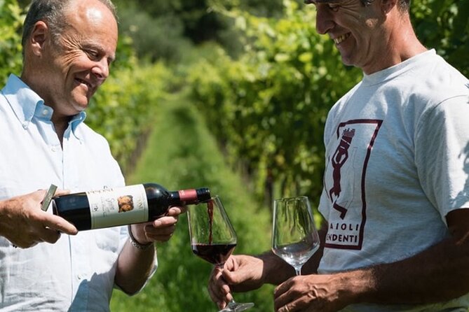 Trentino Wine Journey: Organic Vineyards & Local Delights - Four wines paired with a proper local board