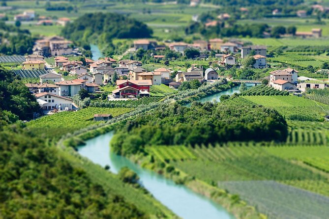 Trentino Wine Journey: Organic Vineyards & Local Delights - What the 90-minute schedule really gives you