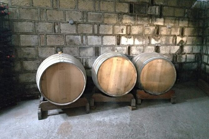 Trentino Wine Journey: Organic Vineyards & Local Delights - What I would want you to know before booking