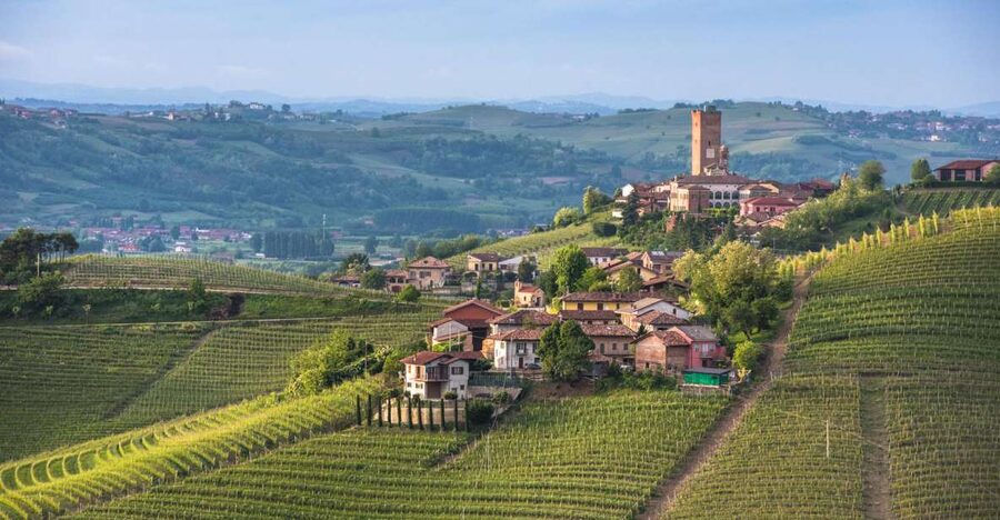 Turin: Private Barolo Wine Region Day Trip with Lunch - Lunch in Piedmont with slow food traditions