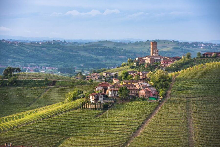 Turin: Private Barolo Wine Region Day Trip with Lunch - What the price includes, and what it does not