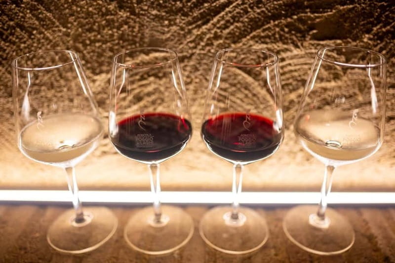 Tuscan Vineyard Dinner with Wine Tasting - Who will enjoy this dinner most