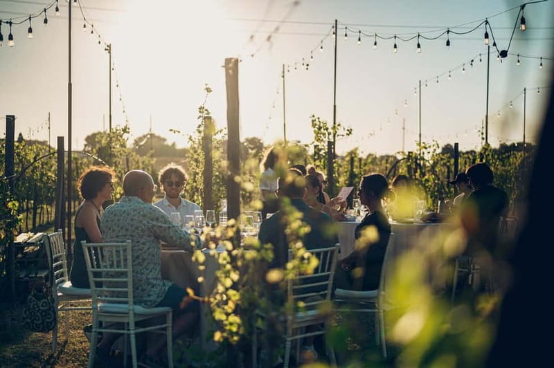 Tuscan Vineyard Dinner with Wine Tasting - Arriving at Poggio ai Laghi in the Chianti countryside