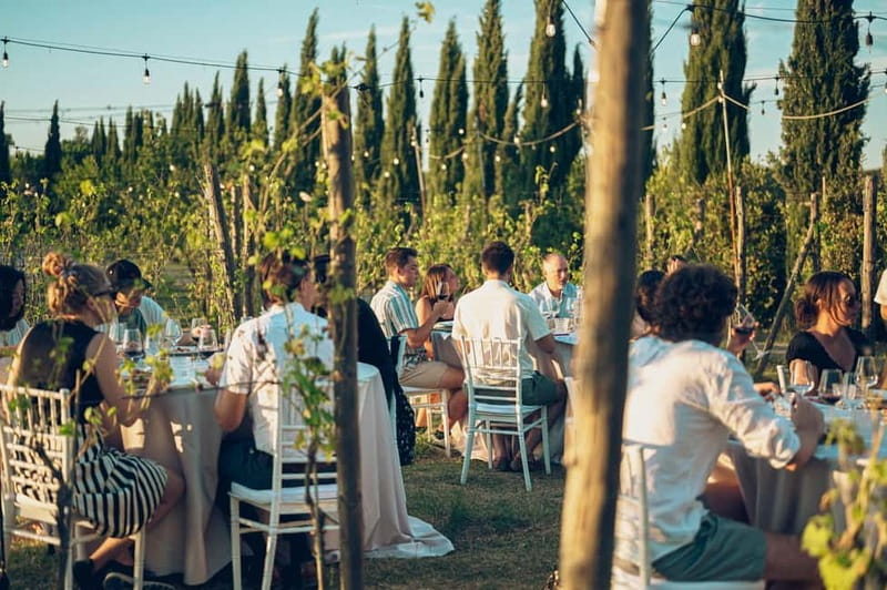 Tuscan Vineyard Dinner with Wine Tasting - Six wines, from sparkling aperitif to Chianti reds