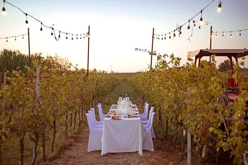 Tuscan Vineyard Dinner with Wine Tasting - Balsamic vinegar, truffle oil, and the small details