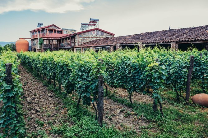 Two Days in Gorgeous Wine Region with Full board Meals and Tastings From Tbilisi - Khareba’s Wine Tunnel on Day Two