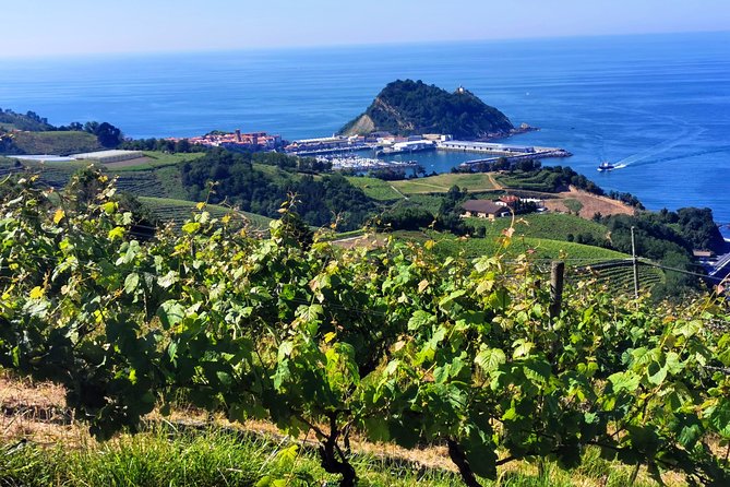 TXAKOLI vineyards HIKE, ZUMAIA and GETARIA - Private Outdoor & Gastronomic Tour - Key Points to Know Before Booking