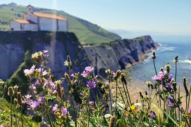 TXAKOLI vineyards HIKE, ZUMAIA and GETARIA - Private Outdoor & Gastronomic Tour - Is $482 Per Person a Fair Price?