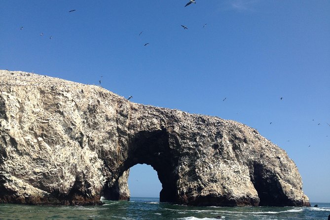 Ultimate Comfort: Lima to Huacachina, Ballestas and Vineyard - Is the $200 Price Fair?