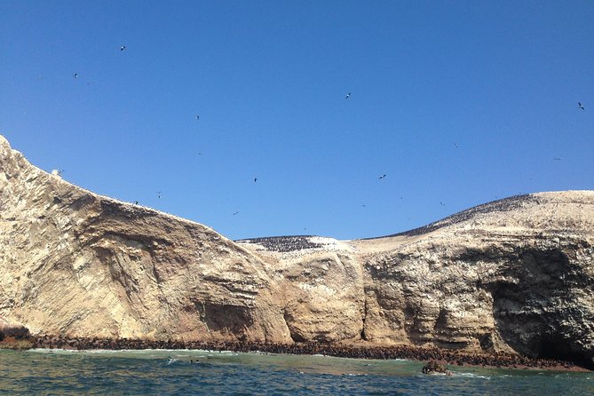 Ultimate Comfort: Lima to Huacachina, Ballestas and Vineyard - Who Should Choose This Experience?