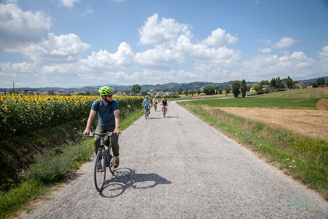 Umbria E-Bike & Wine Tour through Vineyards and Olive Groves - Key details to know before you book