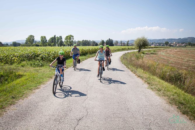 Umbria E-Bike & Wine Tour through Vineyards and Olive Groves - The Assisi-Spoleto path leads toward Cannara