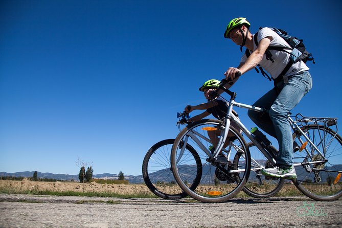 Umbria E-Bike & Wine Tour through Vineyards and Olive Groves - The return ride keeps the day simple