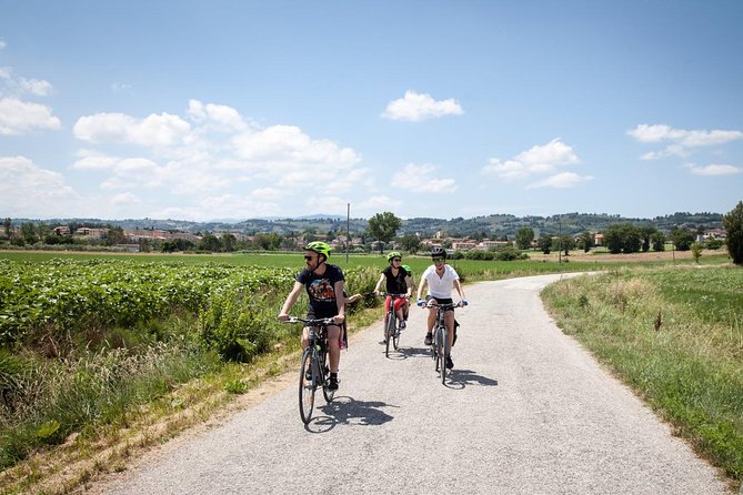 Umbria E-Bike & Wine Tour through Vineyards and Olive Groves - Is the $205.16 price fair?