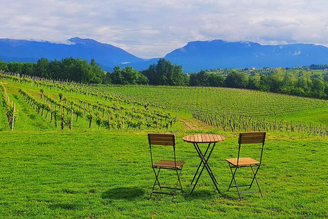 Unconventional Prosecco Tasting with Stunning View on Vineyards - Why the $46.81 price makes sense