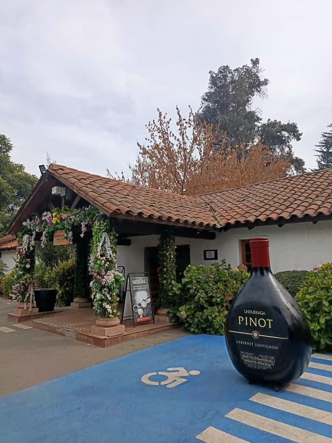 UNDURRAGA VINEYARD - The ride into the Maipo Valley