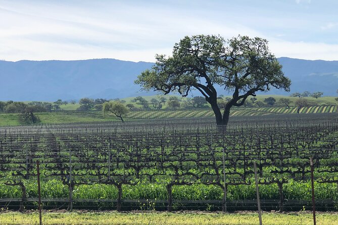 Unique Santa Barbara Wine Country Private Wine Tours and Tastings - A private way to see Santa Ynez Valley