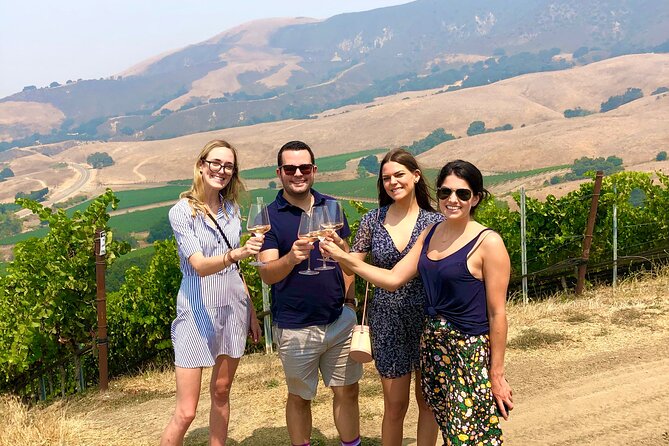 Unique Santa Barbara Wine Country Private Wine Tours and Tastings - A picnic lunch at the right moment