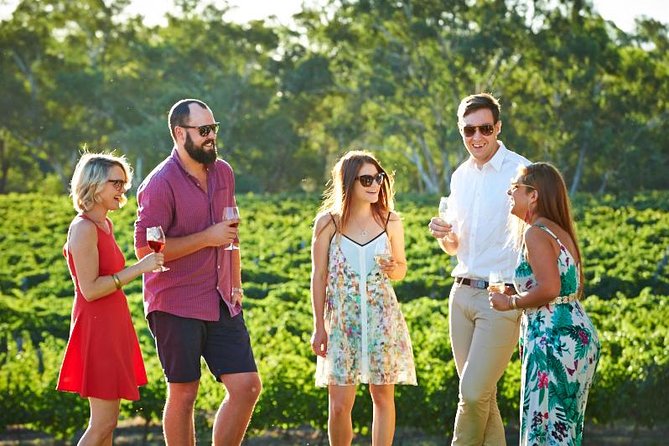 Upper Reach Winery: Swan Valley Winery and Vineyard Tour - Walking among the vines in the Swan Valley
