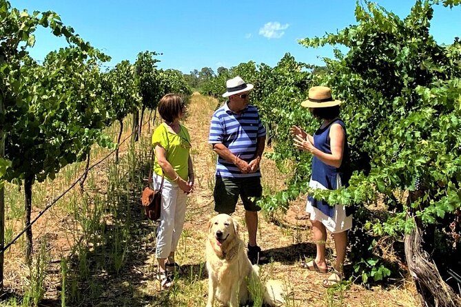 Upper Reach Winery: Swan Valley Winery and Vineyard Tour - White wines and the working winery