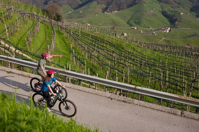 Valdobbiadene e-bike tour amongst vineyards UNESCO Prosecco Hills - Who will enjoy this Prosecco Hills ride