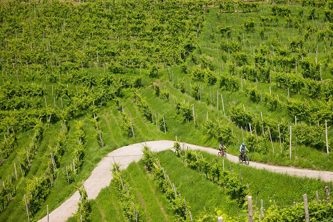 Valdobbiadene e-bike tour amongst vineyards UNESCO Prosecco Hills - Riding the Cartizze road and Glera vineyards