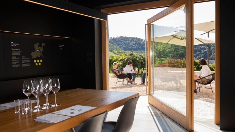 Valdobbiadene:Prosecco tasting,appetizers,winery & vineyard - Key points at a glance