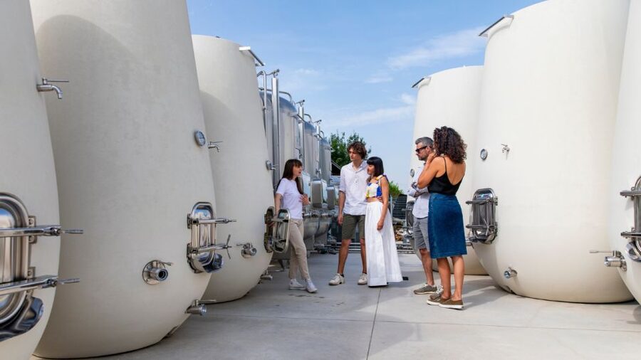 Valdobbiadene:Prosecco tasting,appetizers,winery & vineyard - Why Cartizze matters in Valdobbiadene