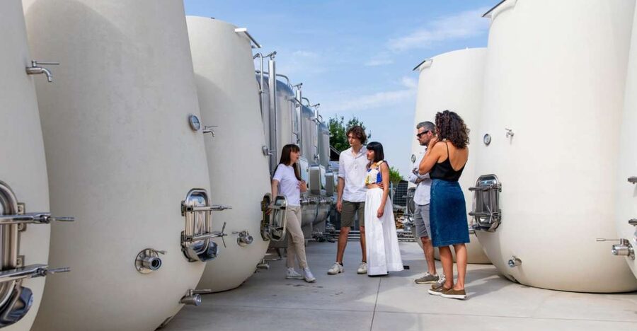 Valdobbiadene:Prosecco tasting,appetizers,winery & vineyard - Appetizers chosen for wine comparison