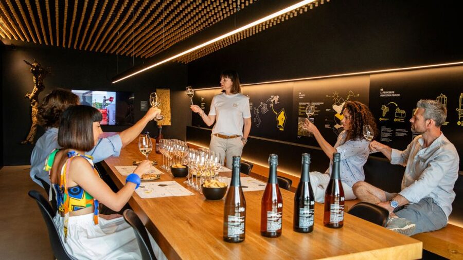 Valdobbiadene:Prosecco tasting,appetizers,winery & vineyard - The practical problem with getting there