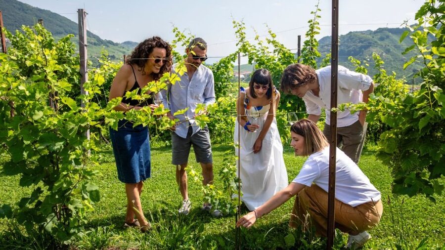 Valdobbiadene:Prosecco tasting,appetizers,winery & vineyard - Who will enjoy this tasting most?