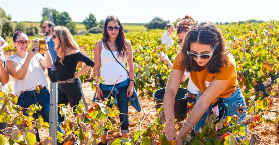 Valencia: Premium Wine Tasting & 3-Course Gastronomic Lunch - Key points before you book