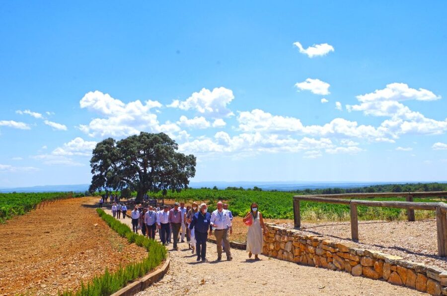 Valencia: Premium Wine Tasting & 3-Course Gastronomic Lunch - Arriving at Finca el Renegado in Caudete de las Fuentes