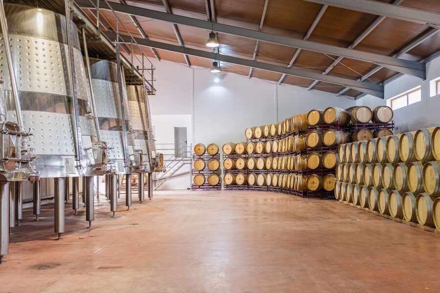 Valencia: Premium Wine Tasting & 3-Course Gastronomic Lunch - The Spanish vermouth ritual at the Wine Bar