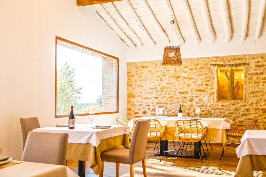 Valencia: Premium Wine Tasting & 3-Course Gastronomic Lunch - What makes the family angle useful