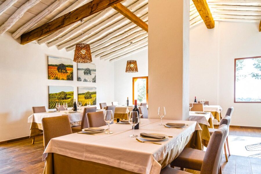Valencia: Premium Wine Tasting & 3-Course Gastronomic Lunch - Who will enjoy this winery experience?