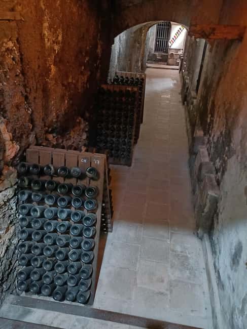 Valencia: Vineyard Tour, Local Wine, Cava Tasting & Snacks - The guides make the difference